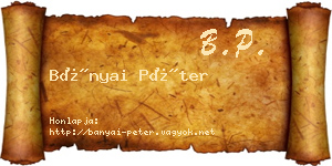 Bányai Péter névjegykártya
