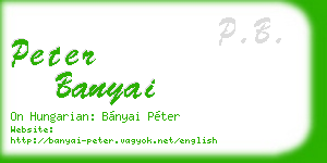 peter banyai business card